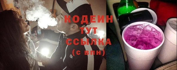 гидра Бородино