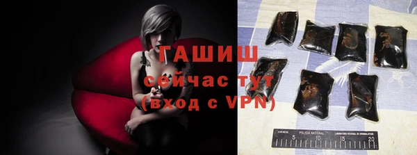 гидра Бородино