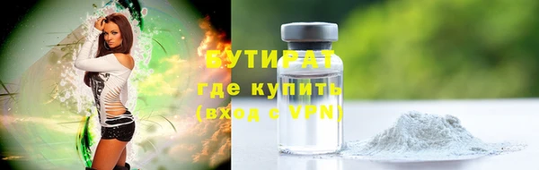 гидра Бородино