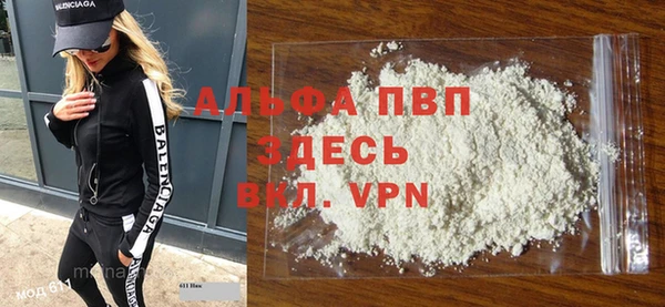 гидра Бородино
