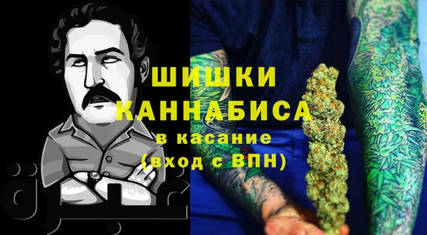 гидра Бородино