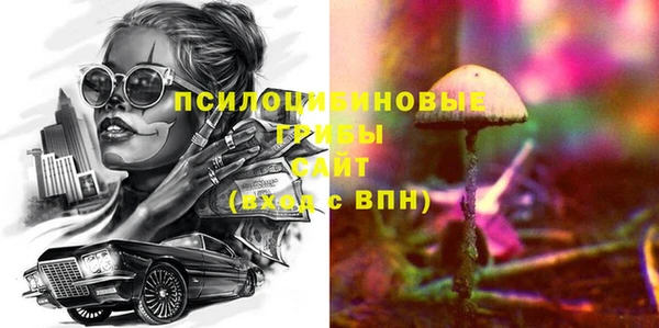 гидра Бородино