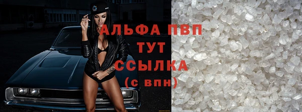 гидра Бородино