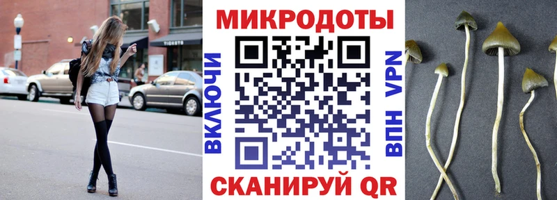 Галлюциногенные грибы Psilocybe  где купить наркотик  Можайск 